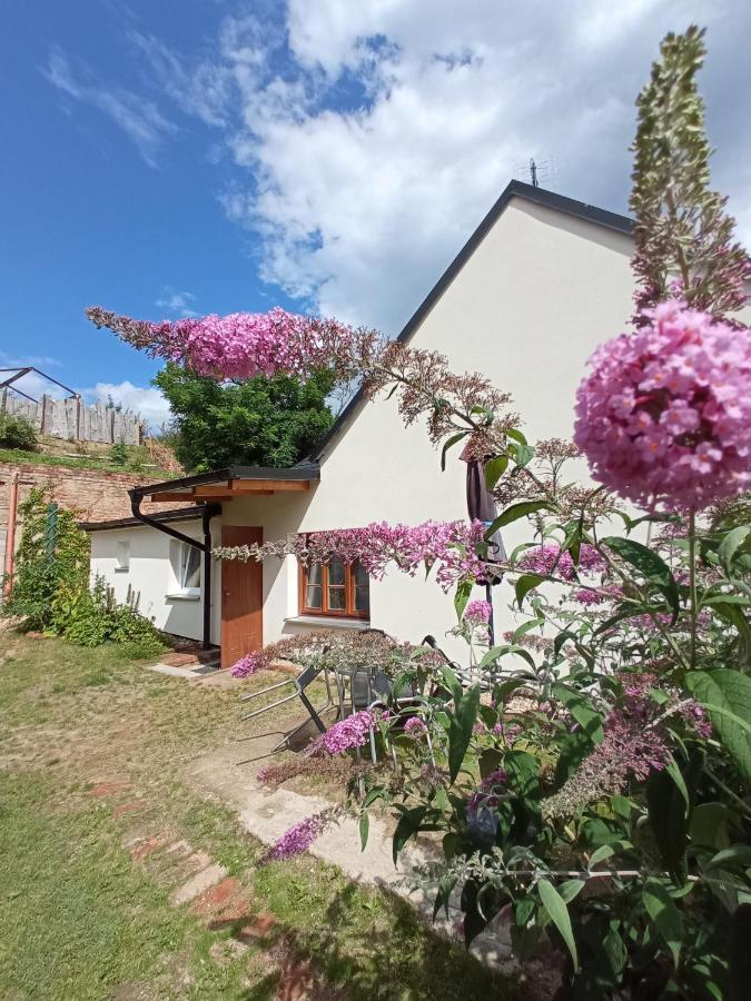 Ubytování u Ještěrky Jaroslavice  Exteriér fotografie